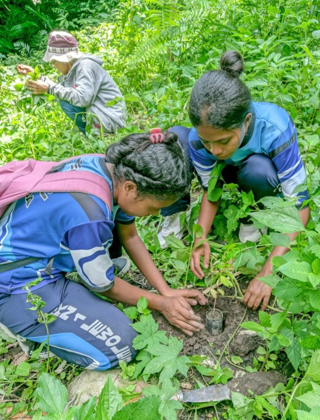 Merawat Pohon mengandung tanah subur